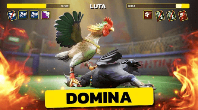 700bra Cassino Apostas Online